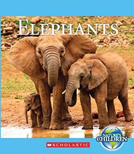 Elephants library binding - elephants,